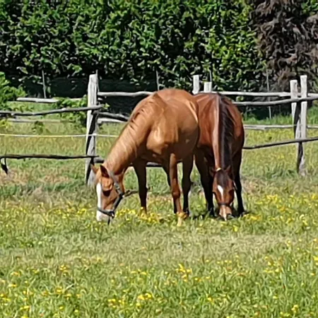 Lägenhet Cascina Giacometta *