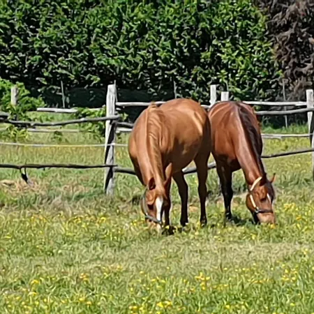 Lägenhet Cascina Giacometta *